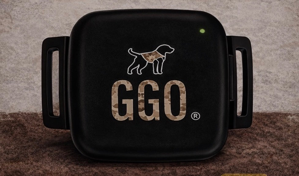 GGO Guardian Collar- Built-In GPS
