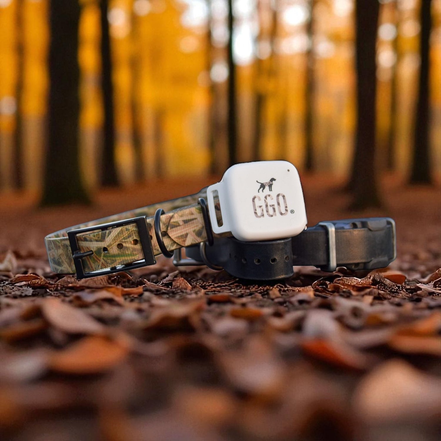 GGO Guardian GPS Collar